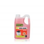 RINSO SANITARIO 2Lt DOITE