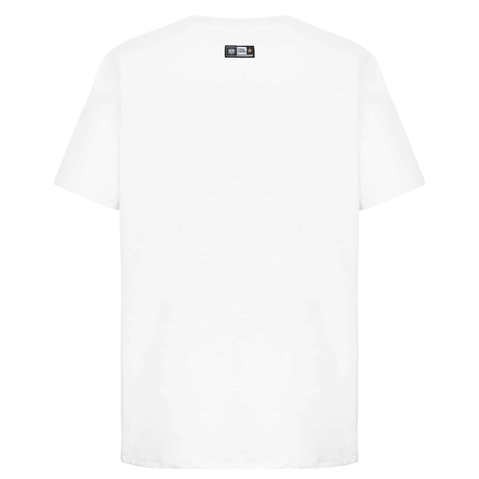 POLERA HOMBRE CCPOV2501BL COLO COLO - Imagen 5