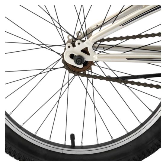 BICICLETA WOLF ARO 20 SX PLATA BIANCHI - Imagen 4