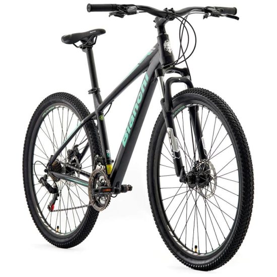 BICICLETA ARO 29 STONE MOUNTAIN SX ALLOY NG-CE BIANCHI - Imagen 2