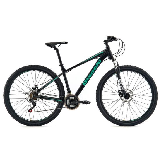 BICICLETA ARO 29 STONE MOUNTAIN SX ALLOY NG-CE BIANCHI