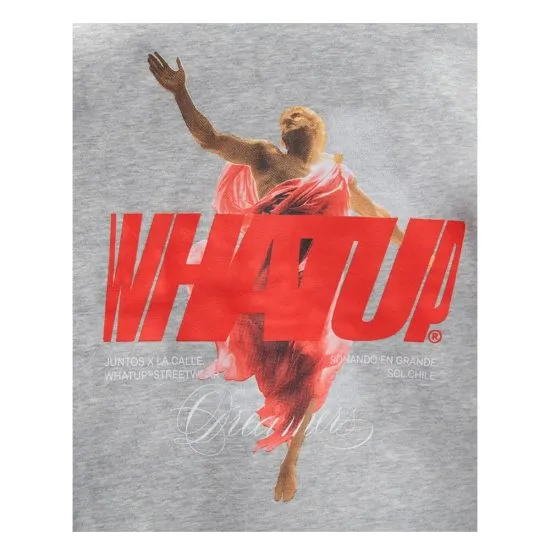 POLERON HOMBRE REGULAR LI2531 GRIS WHATUP - Imagen 3