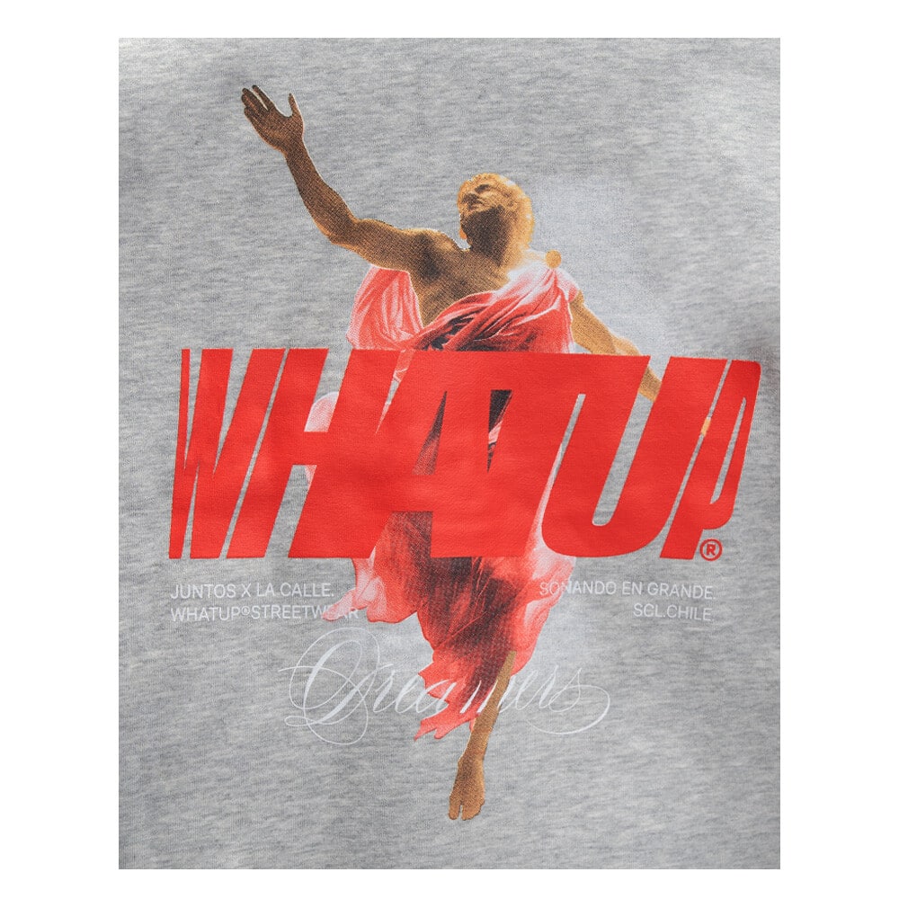 POLERON HOMBRE REGULAR LI2531 GRIS WHATUP - Imagen 3