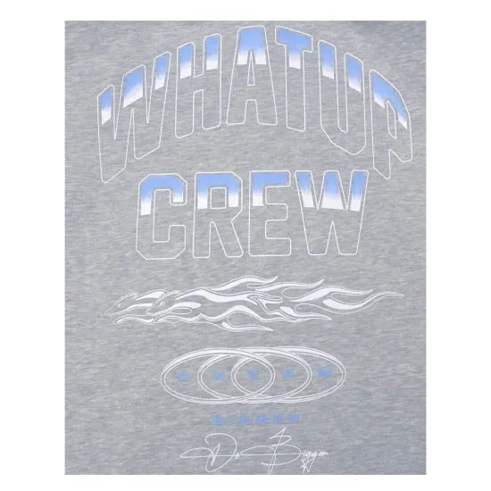 POLERON HOMBRE REGULAR  LI2525 GRIS WHATUP - Imagen 3