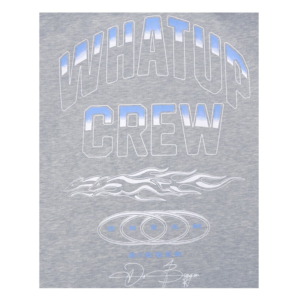 POLERON HOMBRE REGULAR  LI2525 GRIS WHATUP - Imagen 3