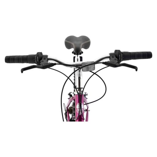 BICICLETA CLASSIC 24 LADY FUXIA BIANCHI - Imagen 5