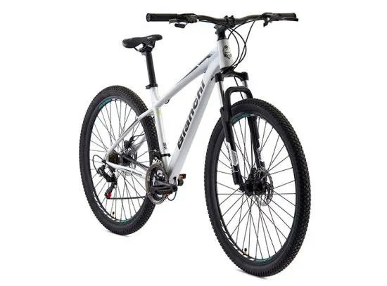 BICICLETA BIANCHI STONE MOUNTAIN 29 SX ALLOY PLA SEMI MATTE - Imagen 2