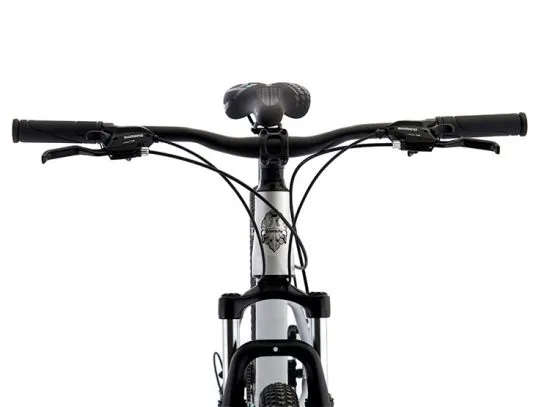 BICICLETA BIANCHI STONE MOUNTAIN 29 SX ALLOY PLA SEMI MATTE - Imagen 3