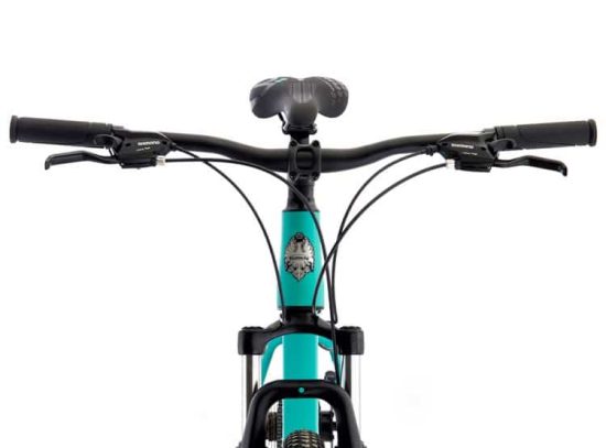 BICICLETA BIANCHI STONE MOUNTAIN 29 SX CELESTE SEMI MATTE - Imagen 3