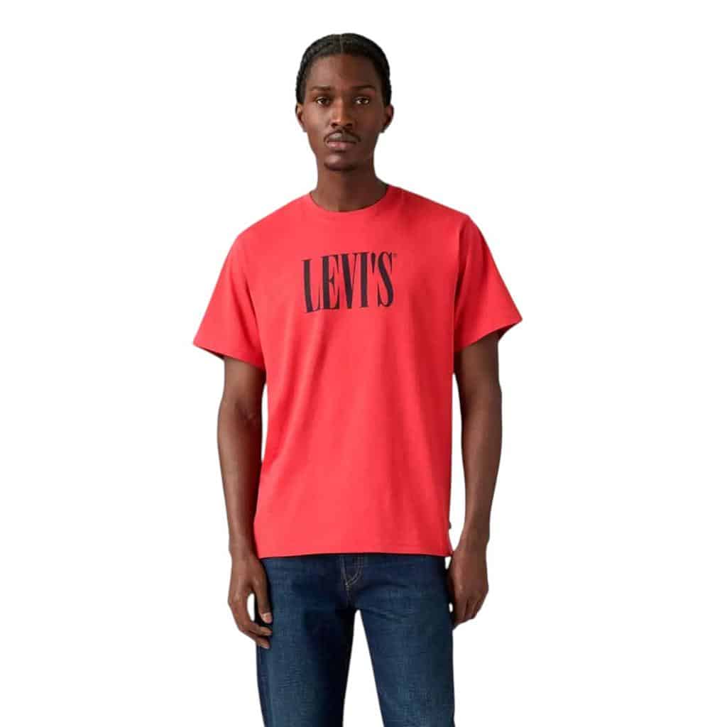 Polera Hombre SS Relaxed Fit Tee SSNL Serif Logo Cardi Levis