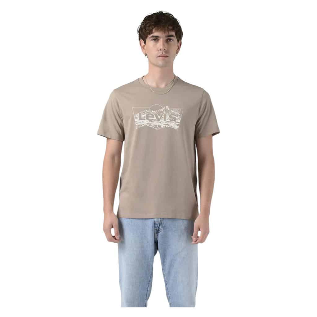 Polera Hombre Graphic Crewneck Tee Desert Bw Fill Levis