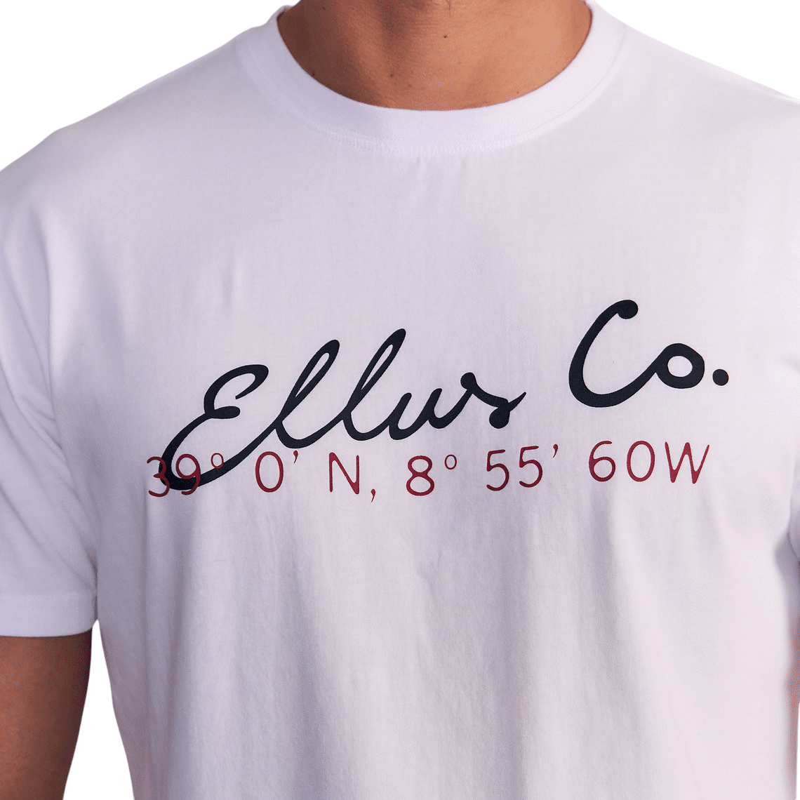 Polera Hombre Silicon Wash Ellus Co Blanco - Imagen 4