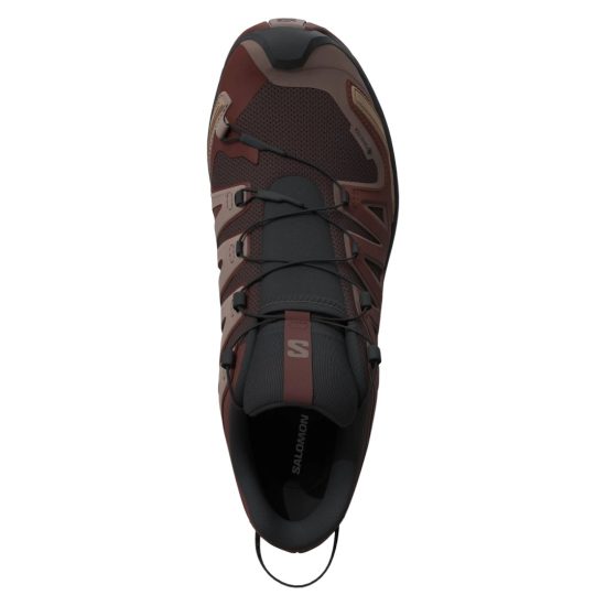 ZAPATILLA XA PRO 3D V9 GORE TEX BLACK COFFEE RUM RAISIN OLIVE NIGHT SALOMON - Imagen 2
