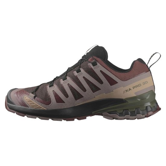 ZAPATILLA XA PRO 3D V9 GORE TEX BLACK COFFEE RUM RAISIN OLIVE NIGHT SALOMON - Imagen 6