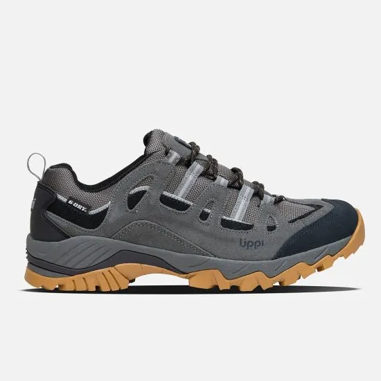 Zapatilla Hombre Puelo CS Low Acero Lippi