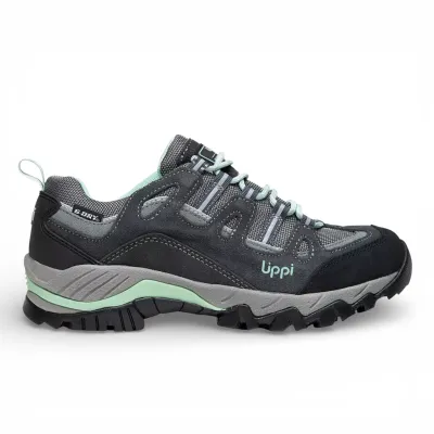 Zapatilla Mujer Puelo CS Low Gris Verde Agua Lippi