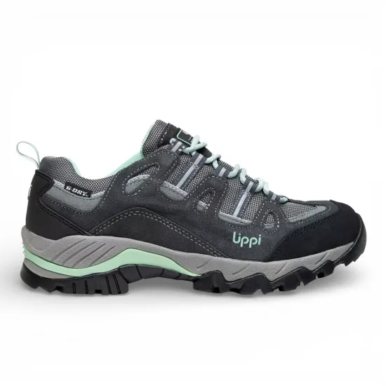Zapatilla Mujer Puelo CS Low Gris Verde Agua Lippi
