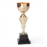 Copa Modelo 224 A de 48 cm Oro P 20