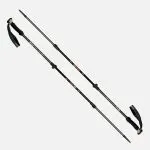 Bastones Escape Trek Pole Gris TU Lippi