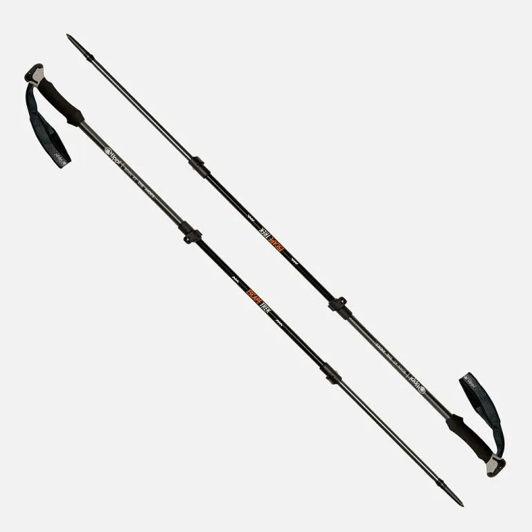 Bastones Escape Trek Pole Gris TU Lippi