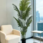 Planta Macetero Palmera Areca 170 Menorca