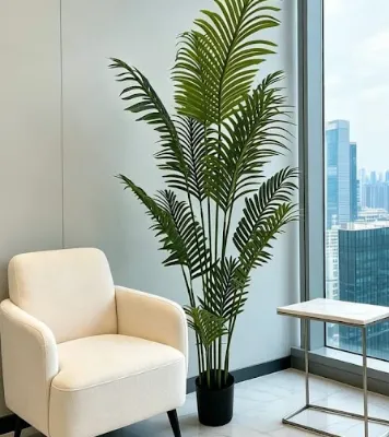 Planta Macetero Palmera Areca 170 Menorca