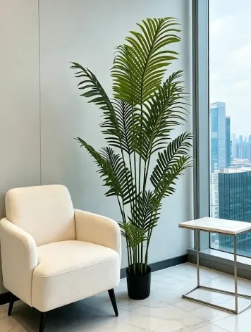 Planta Macetero Palmera Areca 170 Menorca