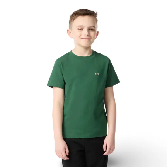 Polera Niño Logo Pequeño Verde Lacoste